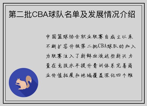 第二批CBA球队名单及发展情况介绍